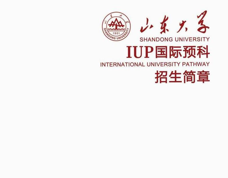 山東大學國際預科招生簡章