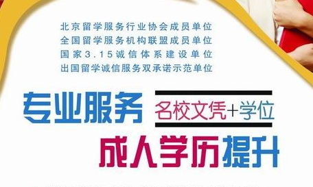 流金成教信息